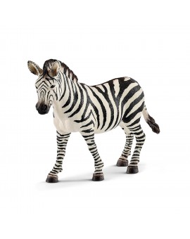 Zebre (femelle)