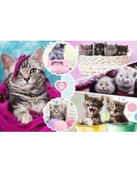 C.T. 160 Adorables Chatons