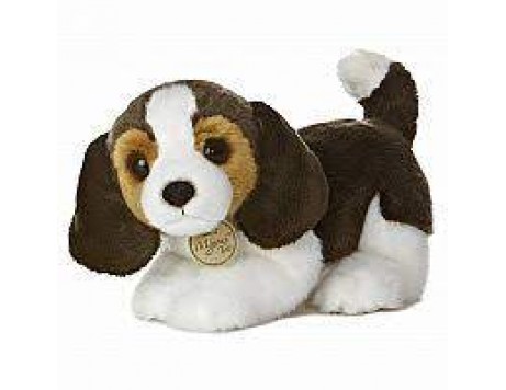 Miyoni Beagle Pup