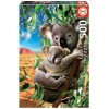 Educa C.t.500 Maman Koala Et Son Bebe