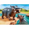 Pm 70354 Hippopotame Et Son Bebe N21